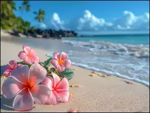 Plaża, Grafika Kwiat, Kwiaty, Plumeria, Morze