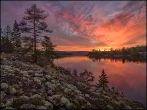 Jezioro, Ładoga, Rosja, Zachód słońca, Karelia, Drzewa, Kamienie