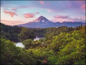 Lasy, Nowa Zelandia, Góra, Drzewa, Wyspa Północna, Mount Taranaki, Rzeka, Park Narodowy Egmont