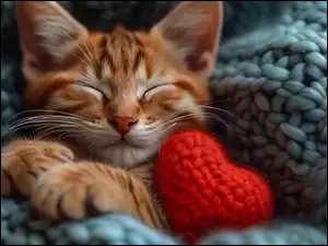 Kot, Śpiący, Wełniane, Serduszko, Koc, Czerwone