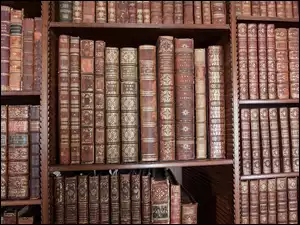 Biblioteka starych ksiąg