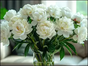 Białe, Wazon Bukiet Kwiatów, Kwiaty, Bukiet, Piwonie