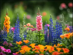 Grafika, Kwiaty, Kolorowe, Ogród