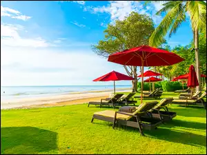 Leżaki pod czerwonymi parasolamii drzewami na trawie nad morzem