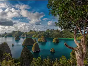 Wyspy, Indonezja, Drzewa, Chmury, Raja Ampat, Morze