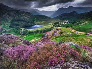 Wrzosowisko, Anglia, Góry, Chmury, Cumbria, Jezioro, Skały, Park Narodowy Lake District