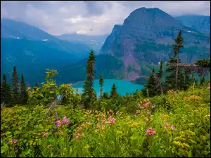 Chmury, Grinnell Lake, Łąka, Jezioro, Montana, Park Narodowy Glacier, Drzewa, Stany Zjednoczone, Góry, Rośliny