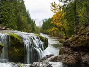 Kamienie, Stany Zjednoczone, Lewis River, Las, Waszyngton, Skały, Drzewa, Rzeka