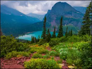 Chmury, Montana, Rośliny, Jezioro, Grinnell Lake, Stany Zjednoczone, Drzewa, Park Narodowy Glacier, Góry