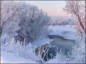 Śnieg, Zima, Drzewa, Poranek, Oszronione, Rzeka