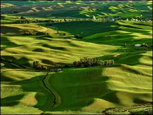 Łąki, Stany Zjednoczone, Wzgórza, Domy, Stan Waszyngton, Pola, Drzewa, Palouse