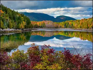 Bubble Mountains, Stan Maine, Góry, Lasy, Roślinność, Park Narodowy Acadia, Jezioro, Stany Zjednoczone, Jordan Pond