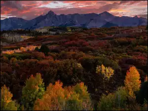 Kolorado, Stany Zjednoczone, Góry, Jesień, Dallas Divide, Lasy