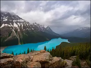 Góry i las nad jeziorem Peyto Lake pod chmurami