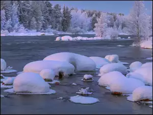 Śnieg, Zima, Ośnieżone, Rzeka, Las, Drzewa