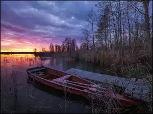 Łódka, Jezioro, Pomost, Zachód słońca, Szuwary, Drzewa