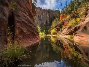 Rzeka, Stany Zjednoczone, Skały, West Fork of Oak Creek, Arizona, Wąwóz, Drzewa, Sedona