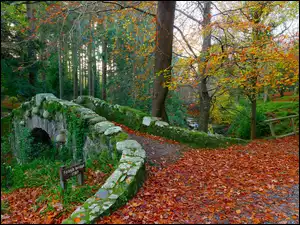 Kamienny most Foleys Bridge w Parku Tollymore Forest Park w Irlandii