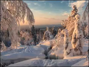 Śnieg, Zima, Drzewa, Zachód słońca, Ośnieżone, Góry