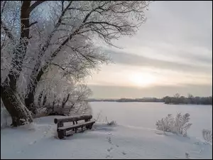 Śnieg, Drzewo, Poranek, Zima, Ławka, Brzeg, Rzeka