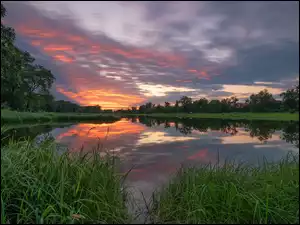 Drzewa, Zachód słońca, Szuwary, Jezioro, Odbicie