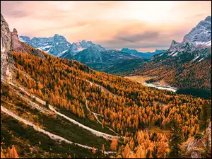 Dolomity, Góry, Drzewa, Włochy, Cadini di Misurina, Dolina