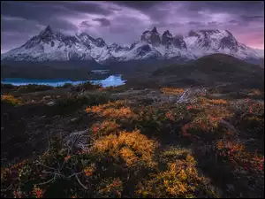 Patagonia, Chile, Góry, Roślinność, Park Narodowy Torres del Paine, Jesień