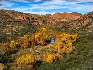 Drzewa, Góry, Stany Zjednoczone, Jesień, Arizona, Kanion Sycamore, Rzeka