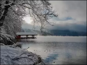 Chmury, Bawaria, Mgła, Gałązki, Śnieg, Zima, Jezioro Alpsee, Niemcy, Drzewa