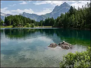 Las, Zbiornik zaporowy, Góry, Kanton Uri, Jezioro, Drzewa, Szwajcaria, Arnisee