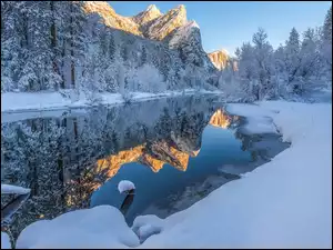 Merced River, Stany Zjednoczone, Góry, Zima, Kalifornia, Rzeka, Drzewa, Park Narodowy Yosemite