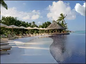 Palmy Plaża, Ocean, Leżaki