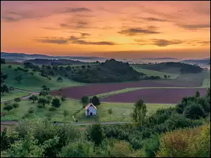 Wzgórze, Drzewa, Kapliczka, Pola