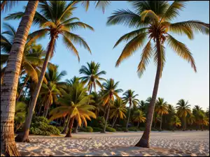 Grafika AI, Tropikalna, Plaża, Palmy