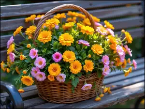 Koszyk z różowymi i pomarańczowymi kwiatami na ławce