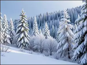 Las, Grafika AI, Zbocze, Zima, Drzewa