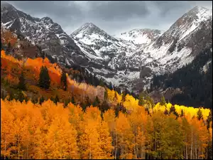 Góry, Jesień, Pożółkłe, Chmury, Las, Drzewa