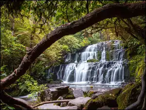 Drzewa, Wodospad, Nowa Zelandia, Las, Purakaunui Falls, Mech, Kamienie