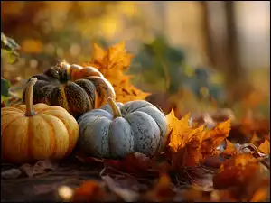 Suche, Grafika AI, Dynie, Kolorowe, Liście