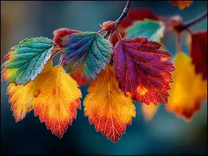 Grafika AI, Kolorowe, Jesienne, Liście