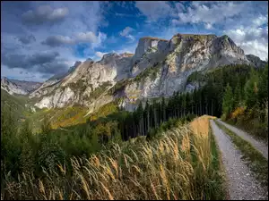 Trawa, Góry, Drzewa, Chmury, Droga, Niebo