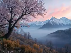 Mgła, Rośliny, Góry, Drzewa, Pożółkłe