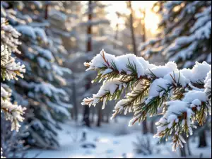 Słoneczne, Zima, Ośnieżone, Światło, Drzewa, Gałązki, Grafika AI, Las