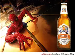 spider man, Piwo, Piwo Żywiec