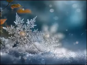 Grafika AI, Śnieżynka, Płatek, Śnieg