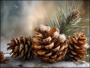 Gałązki, Grafika AI, Szyszki, Ośnieżone, Sosna