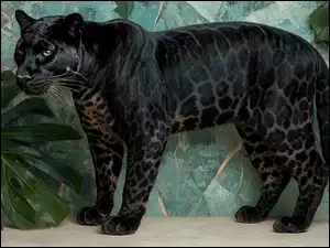 Liście, Czarny, Lampart, Zielone