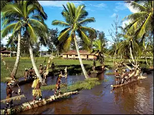 Rzeka, Palmy, Indonezja, Wyspa, Czółna