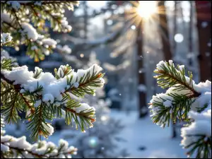 Gałązki, Świerk, Grafika AI, Ośnieżone, Promienie słońca, Las, Zima