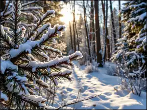 Ośnieżone, Gałązki, Grafika AI, Zima, Poranek, Las, Drzewa